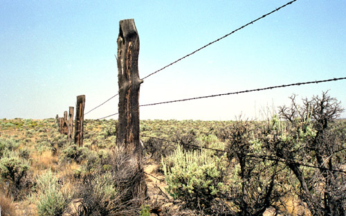 esor2.jpg